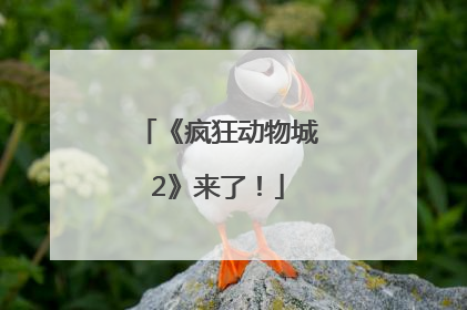 《疯狂动物城2》来了！