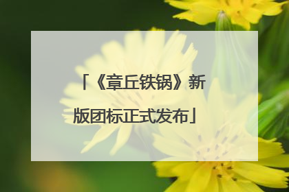 《章丘铁锅》新版团标正式发布
