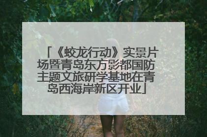 《蛟龙行动》实景片场暨青岛东方影都国防主题文旅研学基地在青岛西海岸新区开业