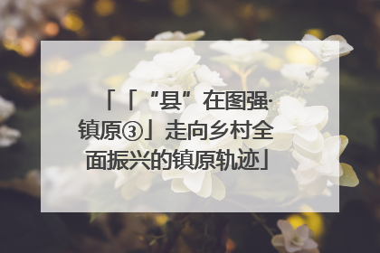 「“县”在图强·镇原③」走向乡村全面振兴的镇原轨迹