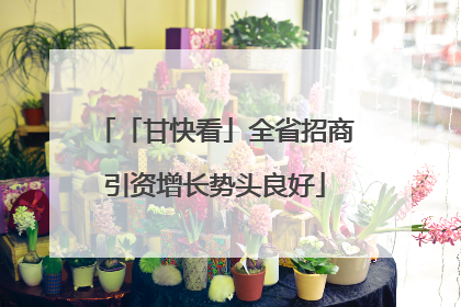 「甘快看」全省招商引资增长势头良好