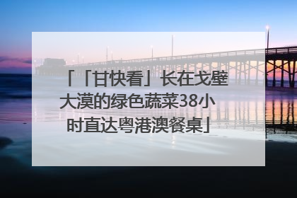 「甘快看」长在戈壁大漠的绿色蔬菜38小时直达粤港澳餐桌
