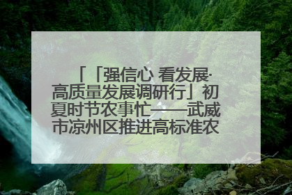 「强信心 看发展·高质量发展调研行」初夏时节农事忙——武威市凉州区推进高标准农田建设见闻