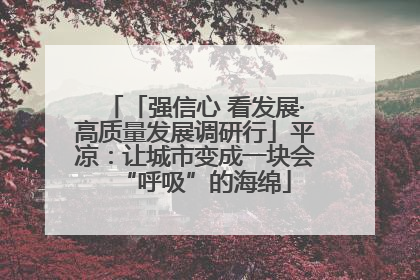「强信心 看发展·高质量发展调研行」平凉：让城市变成一块会“呼吸”的海绵