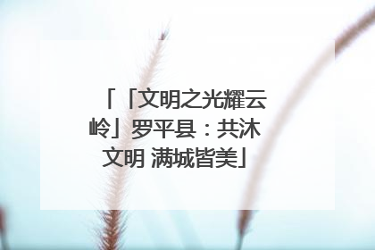 「文明之光耀云岭」罗平县：共沐文明 满城皆美