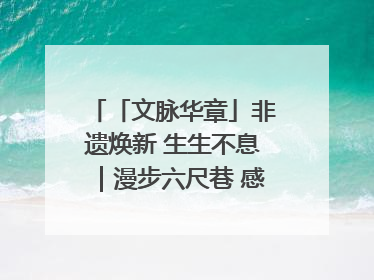 「文脉华章」非遗焕新 生生不息｜漫步六尺巷 感受礼让文化浸润的“巷”往生活