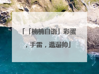 「楠楠自语」彩蛋，手雷，邋遢帅