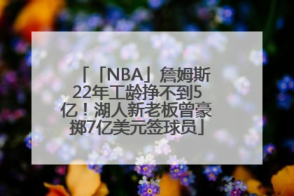 「NBA」詹姆斯22年工龄挣不到5亿！湖人新老板曾豪掷7亿美元签球员