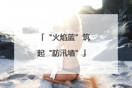 “火焰蓝”筑起“防汛墙”