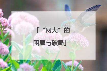 “网大”的困局与破局