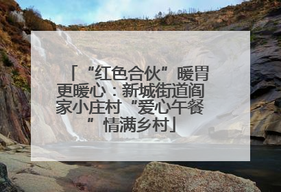 “红色合伙”暖胃更暖心：新城街道阎家小庄村“爱心午餐”情满乡村