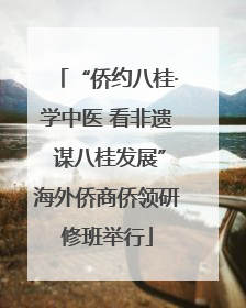 “侨约八桂·学中医 看非遗 谋八桂发展”海外侨商侨领研修班举行