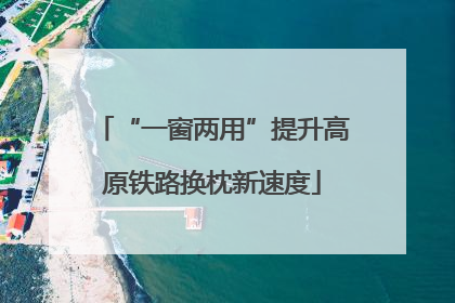 “一窗两用”提升高原铁路换枕新速度