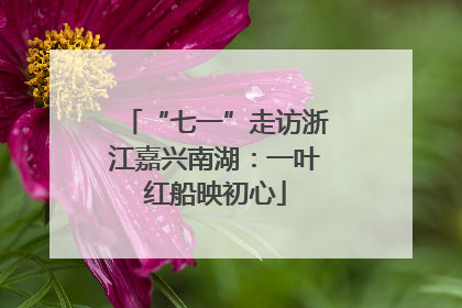“七一”走访浙江嘉兴南湖：一叶红船映初心