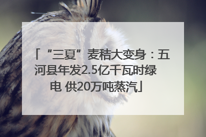 “三夏”麦秸大变身：五河县年发2.5亿千瓦时绿电 供20万吨蒸汽