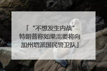 “不想发生内战” 特朗普称如果需要将向加州增派国民警卫队