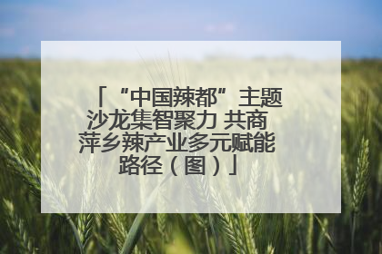 “中国辣都”主题沙龙集智聚力 共商萍乡辣产业多元赋能路径（图）