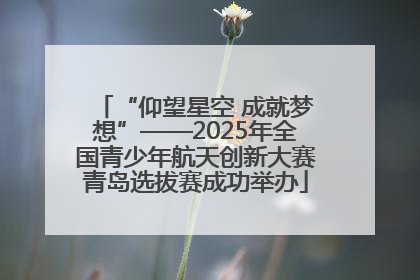 “仰望星空 成就梦想”——2025年全国青少年航天创新大赛青岛选拔赛成功举办