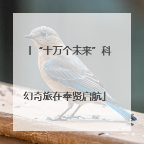 “十万个未来”科幻奇旅在奉贤启航