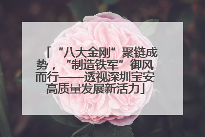 “八大金刚”聚链成势，“制造铁军”御风而行——透视深圳宝安高质量发展新活力