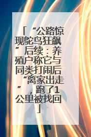 “公路惊现鸵鸟狂飙”后续：养殖户称它与同类打闹后“离家出走”，跑了1公里被找回