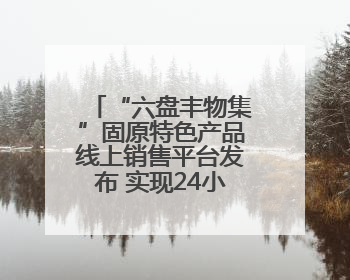 “六盘丰物集”固原特色产品线上销售平台发布 实现24小时内发货