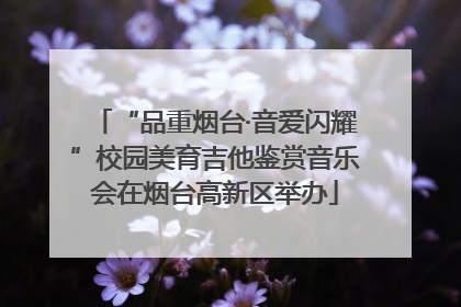 “品重烟台·音爱闪耀”校园美育吉他鉴赏音乐会在烟台高新区举办