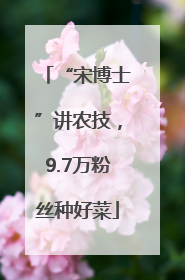 “宋博士”讲农技，9.7万粉丝种好菜