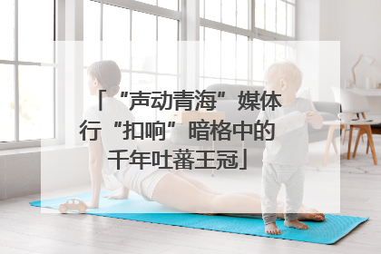 “声动青海”媒体行“扣响”暗格中的千年吐蕃王冠
