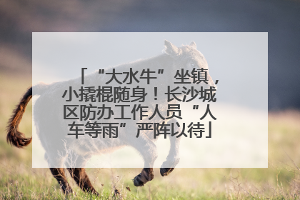 “大水牛”坐镇，小撬棍随身！长沙城区防办工作人员“人车等雨”严阵以待