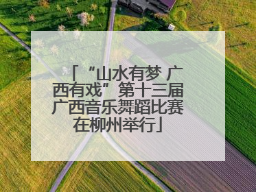 “山水有梦 广西有戏”第十三届广西音乐舞蹈比赛在柳州举行