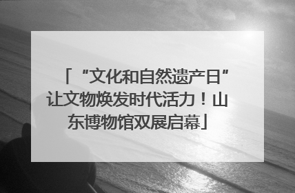 “文化和自然遗产日”让文物焕发时代活力！山东博物馆双展启幕