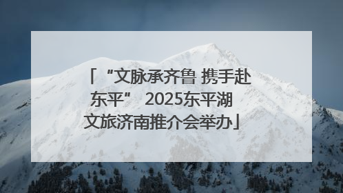 “文脉承齐鲁 携手赴东平” 2025东平湖文旅济南推介会举办
