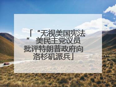 “无视美国宪法” 美民主党议员批评特朗普政府向洛杉矶派兵