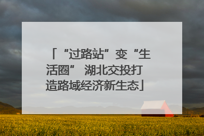 “过路站”变“生活圈” 湖北交投打造路域经济新生态