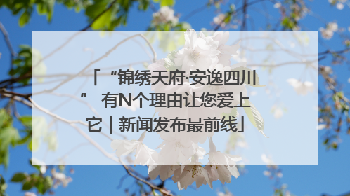 “锦绣天府·安逸四川” 有N个理由让您爱上它｜新闻发布最前线