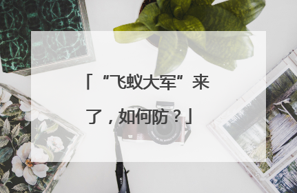 “飞蚁大军”来了，如何防？