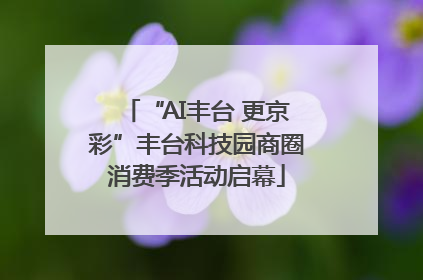 “AI丰台 更京彩”丰台科技园商圈消费季活动启幕
