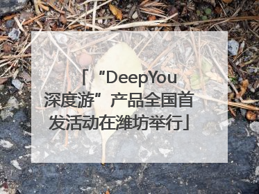 “DeepYou深度游”产品全国首发活动在潍坊举行
