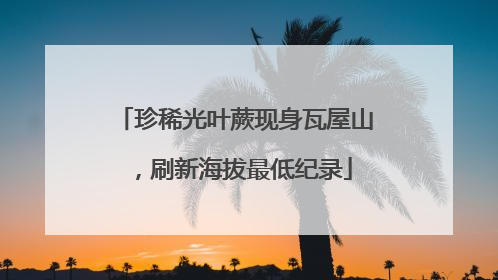 珍稀光叶蕨现身瓦屋山，刷新海拔最低纪录