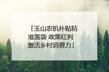 玉山农机补贴精准落袋 政策红利激活乡村消费力