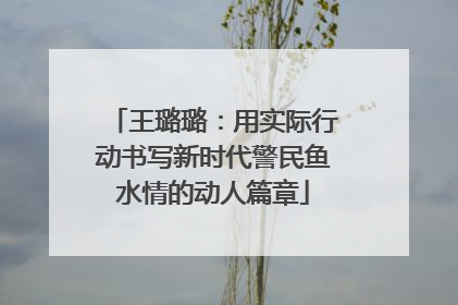 王璐璐：用实际行动书写新时代警民鱼水情的动人篇章