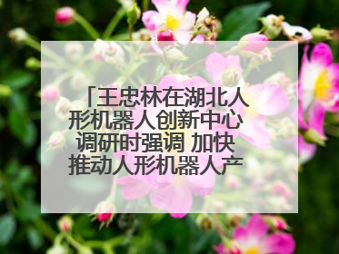 王忠林在湖北人形机器人创新中心调研时强调 加快推动人形机器人产业高质量发展 打造具有全国影响力的研发创新基地