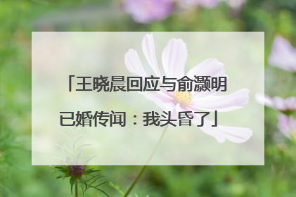 王晓晨回应与俞灏明已婚传闻：我头昏了