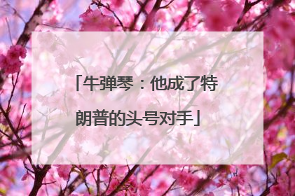 牛弹琴：他成了特朗普的头号对手