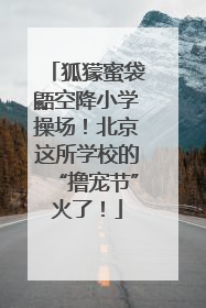 狐獴蜜袋鼯空降小学操场！北京这所学校的“撸宠节”火了！