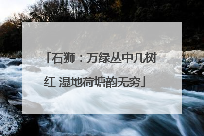 石狮：万绿丛中几树红 湿地荷塘韵无穷