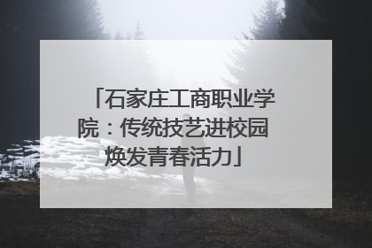 石家庄工商职业学院：传统技艺进校园焕发青春活力