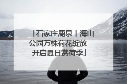石家庄鹿泉丨海山公园万株荷花绽放 开启夏日赏荷季