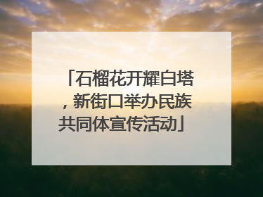 石榴花开耀白塔，新街口举办民族共同体宣传活动